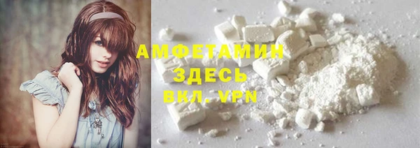шишки Аркадак