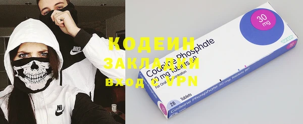 шишки Аркадак