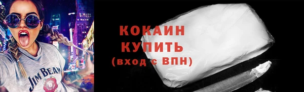 шишки Аркадак