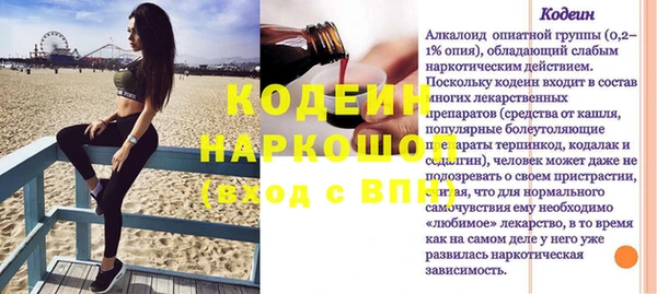 шишки Аркадак