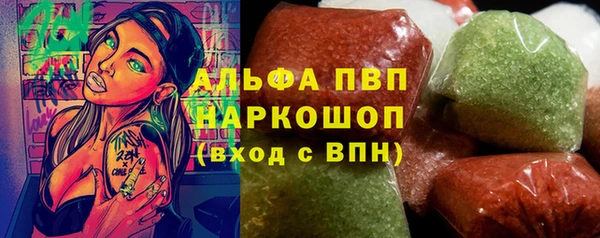 шишки Аркадак