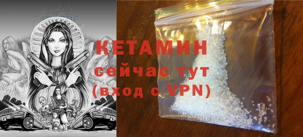 шишки Аркадак