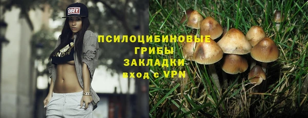 прущий лед Армянск