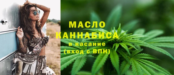 шишки Аркадак