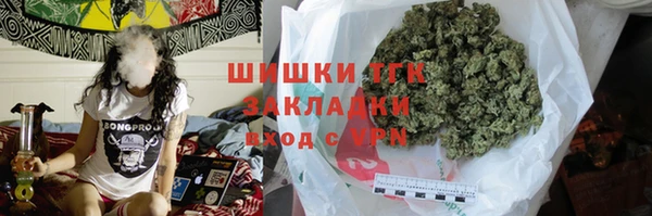 шишки Аркадак